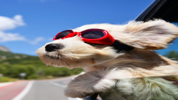 介護職で休みやすい職場とは？プライベート重視の求人選びガイド